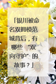银川被命名双拥模范城背后，有哪些 “双向守护”的故事？