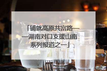 铺就高原共富路——湖南对口支援山南系列报道之一