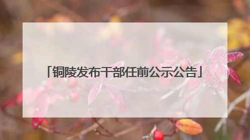 铜陵发布干部任前公示公告