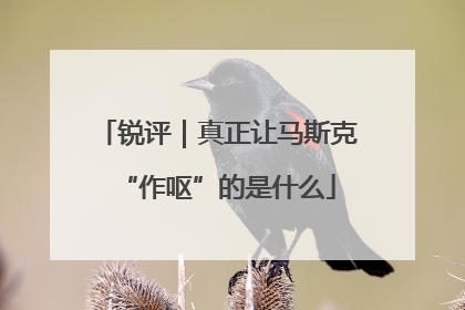 锐评｜真正让马斯克“作呕”的是什么