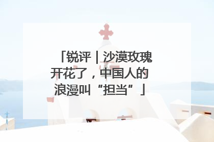 锐评｜沙漠玫瑰开花了，中国人的浪漫叫“担当”