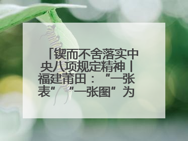 锲而不舍落实中央八项规定精神丨福建莆田：“一张表”“一张图”为基层减轻“数字负担”
