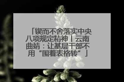 锲而不舍落实中央八项规定精神丨云南曲靖：让基层干部不用“围着表格转”