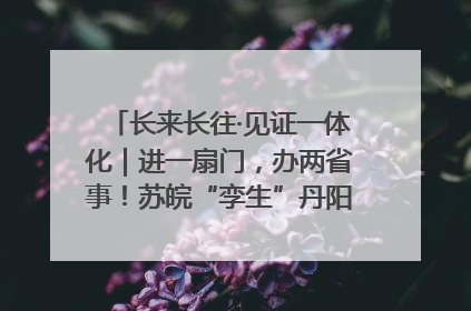 长来长往·见证一体化｜进一扇门，办两省事！苏皖“孪生”丹阳如何做到的？