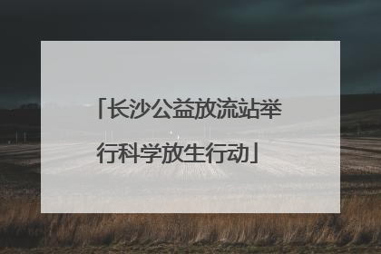 长沙公益放流站举行科学放生行动