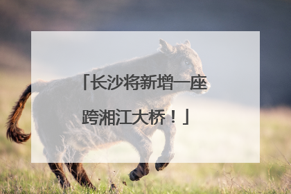 长沙将新增一座跨湘江大桥！