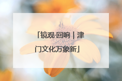 镜观·回响｜津门文化万象新