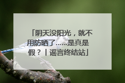 阴天没阳光，就不用防晒了……是真是假？丨谣言终结站