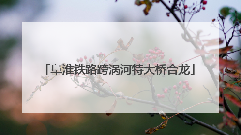 阜淮铁路跨涡河特大桥合龙