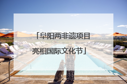 阜阳两非遗项目亮相国际文化节