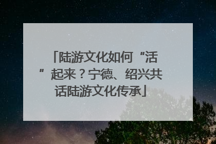 陆游文化如何“活 ”起来？宁德、绍兴共话陆游文化传承