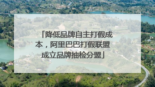 降低品牌自主打假成本，阿里巴巴打假联盟成立品牌抽检分盟