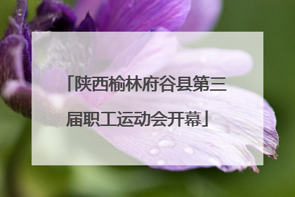 陕西榆林府谷县第三届职工运动会开幕