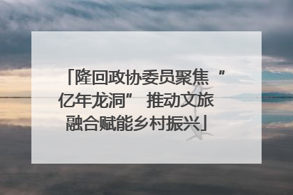 隆回政协委员聚焦“亿年龙洞” 推动文旅融合赋能乡村振兴