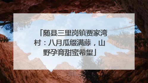 随县三里岗镇贾家湾村：八月瓜缀满藤，山野孕育甜蜜希望