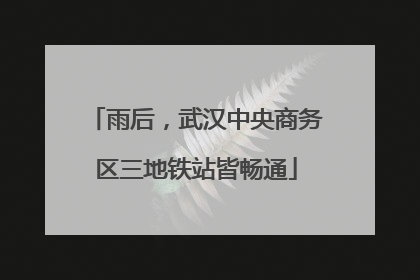 雨后，武汉中央商务区三地铁站皆畅通
