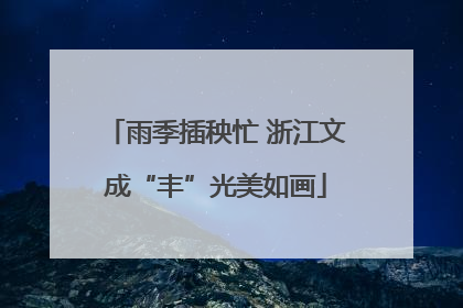 雨季插秧忙 浙江文成“丰”光美如画