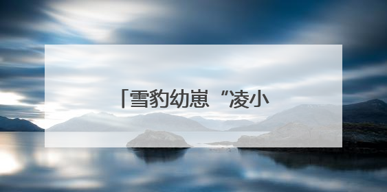 雪豹幼崽“凌小蛰”百日重生