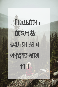 顶压前行 前5月数据折射我国外贸较强韧性
