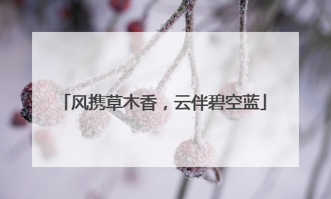 风携草木香，云伴碧空蓝