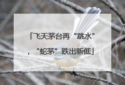 飞天茅台再“跳水”，“蛇茅”跌出新低