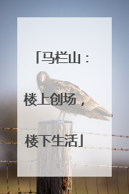 马栏山：楼上创场，楼下生活