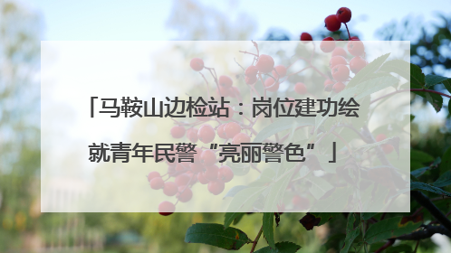 马鞍山边检站：岗位建功绘就青年民警“亮丽警色”