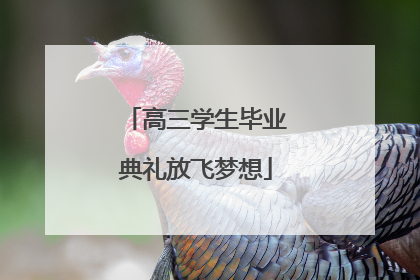 高三学生毕业典礼放飞梦想