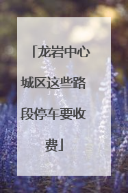 龙岩中心城区这些路段停车要收费