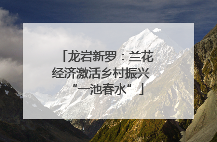 龙岩新罗：兰花经济激活乡村振兴“一池春水”