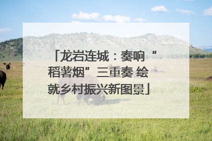 龙岩连城：奏响“稻薯烟”三重奏 绘就乡村振兴新图景