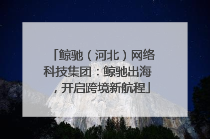 鲸驰（河北）网络科技集团：鲸驰出海，开启跨境新航程