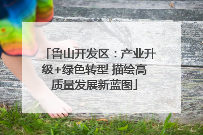 鲁山开发区：产业升级+绿色转型 描绘高质量发展新蓝图