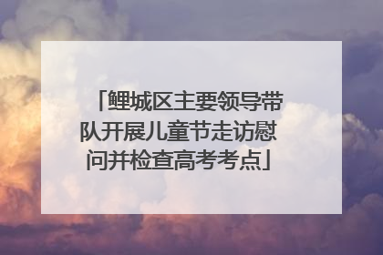 鲤城区主要领导带队开展儿童节走访慰问并检查高考考点