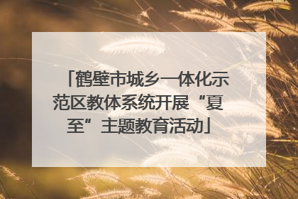 鹤壁市城乡一体化示范区教体系统开展“夏至”主题教育活动