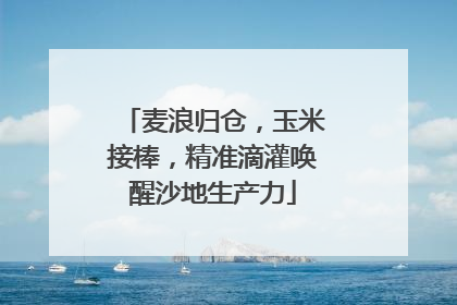 麦浪归仓，玉米接棒，精准滴灌唤醒沙地生产力