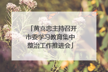 黄喜忠主持召开市委学习教育集中整治工作推进会