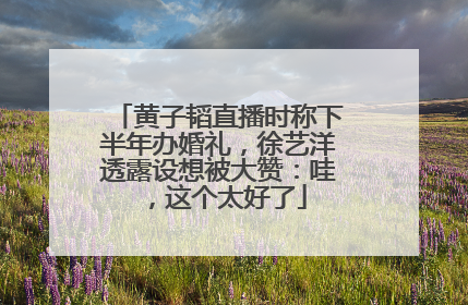 黄子韬直播时称下半年办婚礼，徐艺洋透露设想被大赞：哇，这个太好了