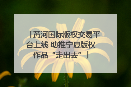 黄河国际版权交易平台上线 助推宁夏版权作品“走出去”