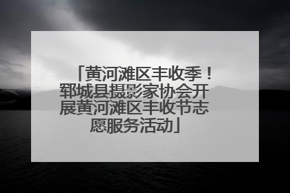 黄河滩区丰收季！郓城县摄影家协会开展黄河滩区丰收节志愿服务活动