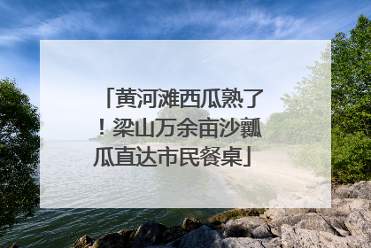 黄河滩西瓜熟了！梁山万余亩沙瓤瓜直达市民餐桌