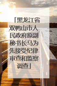 黑龙江省双鸭山市人民政府原副秘书长马为先接受纪律审查和监察调查