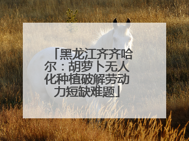 黑龙江齐齐哈尔：胡萝卜无人化种植破解劳动力短缺难题
