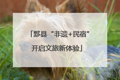 黟县“非遗+民宿” 开启文旅新体验
