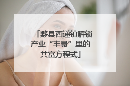 黟县西递镇解锁产业“丰景”里的共富方程式
