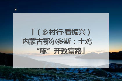 （乡村行·看振兴）内蒙古鄂尔多斯：土鸡“啄”开致富路