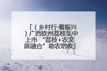 （乡村行·看振兴）广西钦州荔枝集中上市 “荔枝+农文旅融合”助农增收