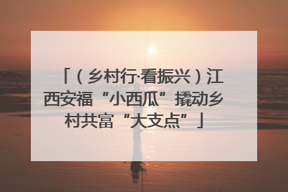 （乡村行·看振兴）江西安福“小西瓜”撬动乡村共富“大支点”