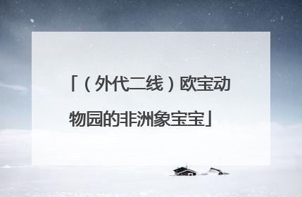 （外代二线）欧宝动物园的非洲象宝宝