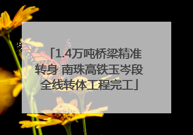 1.4万吨桥梁精准转身 南珠高铁玉岑段全线转体工程完工